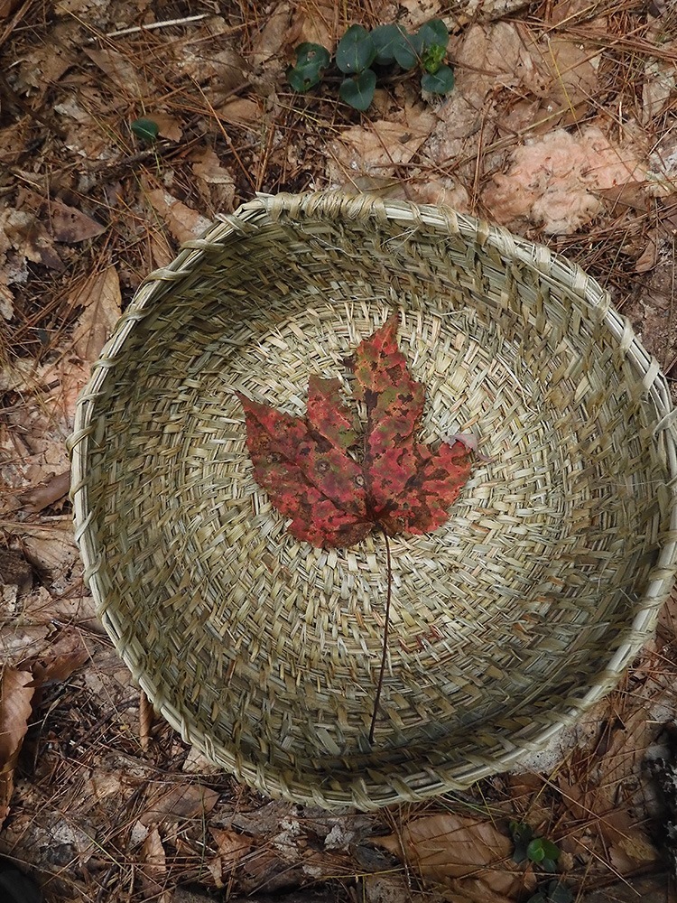 Stilllife with leaf and basket © Rebecca Maisland